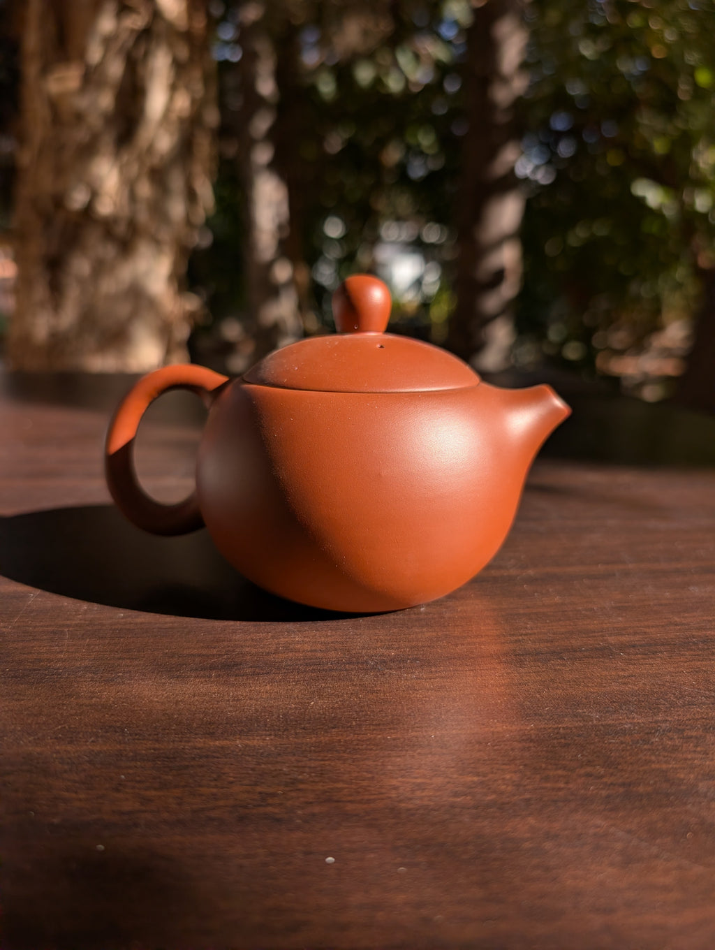 Yixing Purple Clay Teapot Handmade Zisha Gongfu Tea Pot